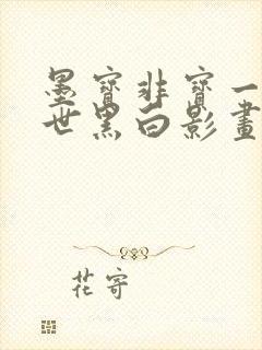 墨宝非宝一生一世黑白影画