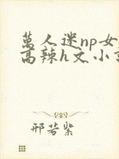 万人迷np女嬷高辣h文小说免费阅读