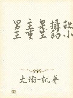 男主是摄政王女主重生的小说