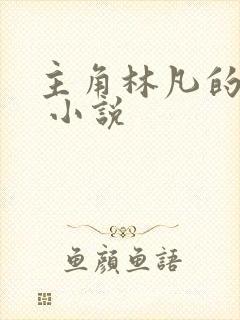 主角林凡的小说 小说