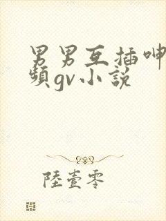 男男互插呻吟视频gv小说