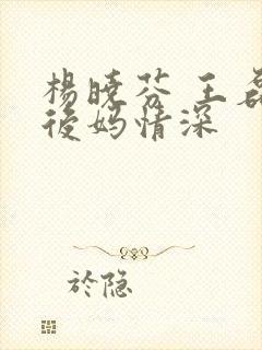 杨晓芬 王磊 后妈情深