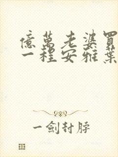 亿万老婆买一送一程安雅叶琛