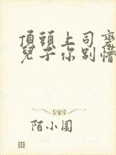 顶头上司变后妈儿子你别懵短剧完整版高清