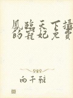 凤临天下摄政王的宠妃免费阅读封面