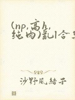 (np,高h,纯肉)乱l合集