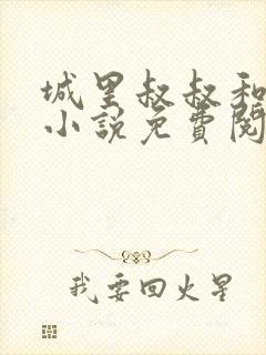 城里叔叔和侄女小说免费阅读封面