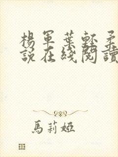 杨军叶轻柔的小说在线阅读