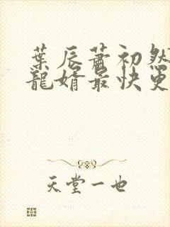 叶辰萧初然上门龙婿最快更新封面