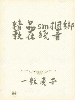 精品sm捆绑调教在线看