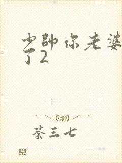 少帅你老婆又跑了2