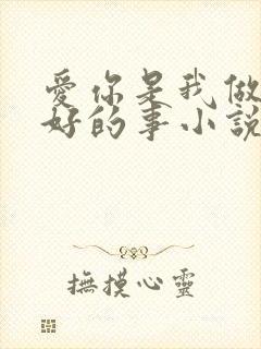 爱你是我做过最好的事小说封面