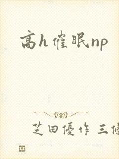 高h催眠np
