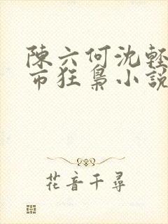 陈六何沈轻舞都市狂枭小说封面