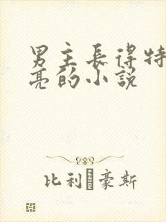 男主长得特别漂亮的小说