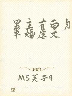 男主有白月光的军婚虐文