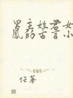 男主姓君女主姓凤的古言小说