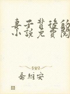 妻子背后的秘密小说免费阅读封面