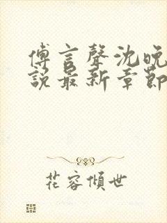 傅言声沈晚柔小说最新章节免费阅读