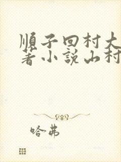 顺子回村大婶原著小说山村