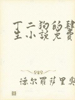 丁二狗的肆意人生小说免费封面