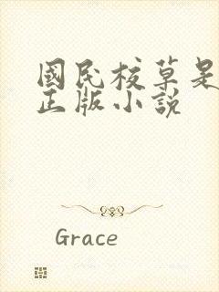 国民校草是女生正版小说封面