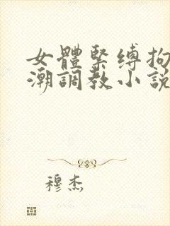 女体紧缚拘束高潮调教小说