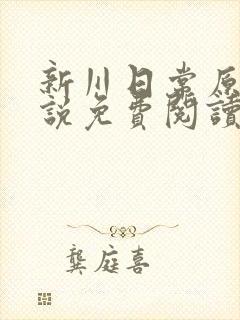 新川日常原著小说免费阅读封面