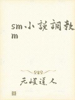 sm小说调教女m封面