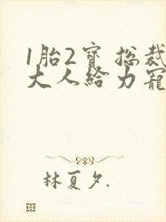 1胎2宝 总裁大人给力宠免费阅读