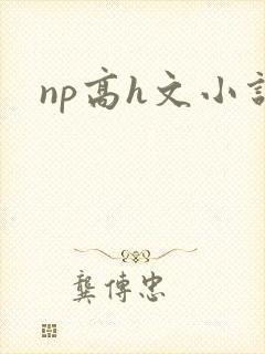 np高h文小说