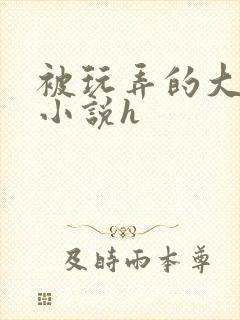 被玩弄的大小姐小说h封面