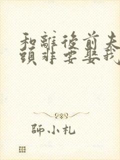 和离后前夫死对头非要娶我小说免费阅读封面