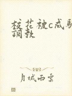 校花被c成骚货调教封面