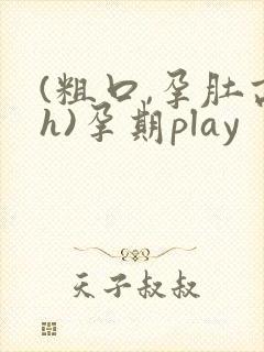 (粗口,孕肚高h)孕期play
