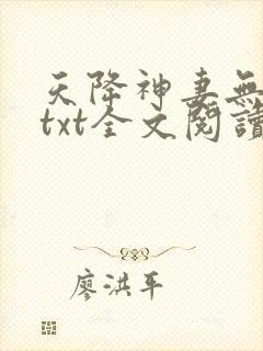 天降神妻无删减txt全文阅读下载