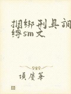 捆绑刑具调教束缚sm文封面