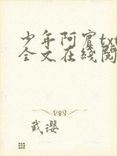 少年阿宾txt全文在线阅读