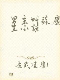 男主叫苏尘的重生小说