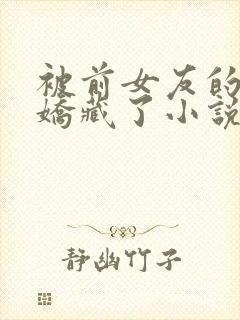 被前女友的姑姑娇藏了小说免费阅读