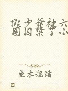 假少爷被六个哥团囚禁了小说