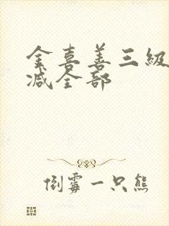 金喜善三级无删减全部