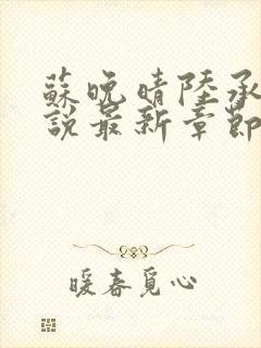 苏晚晴陆承骁小说最新章节更新内容