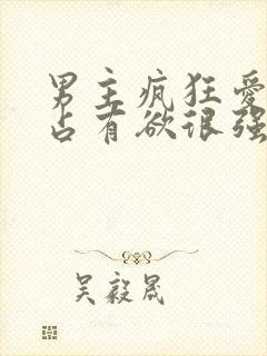 男主疯狂爱女主占有欲很强的小说封面