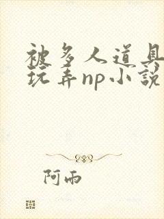 被多人道具调教玩弄np小说封面