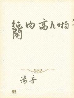 纯肉高h啪笔趣阁