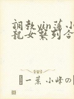 调教yin荡小龙女系列合集h