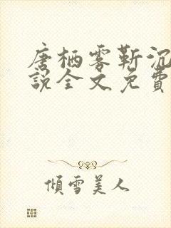 唐栖雾靳沉野小说全文免费阅读