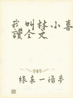 我叫林小喜全阅读全文