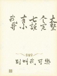 我有七个大佬哥哥小说完整版封面